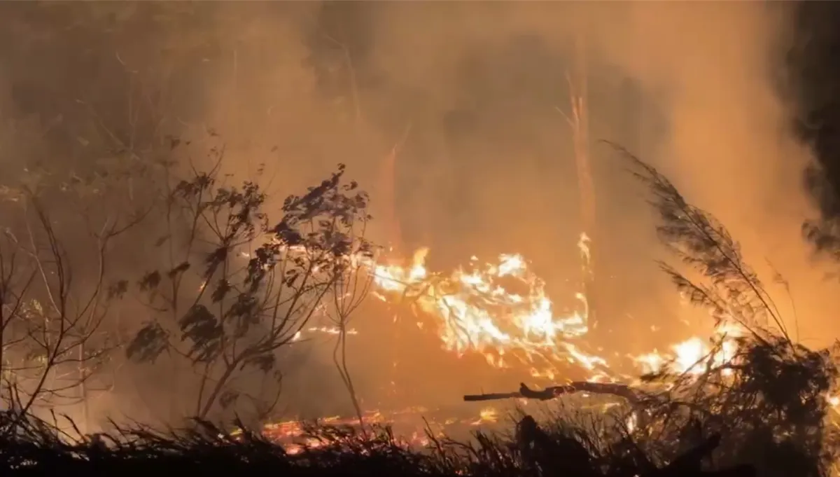 金門跨年夜多起火警  歐厝海邊火勢最烈