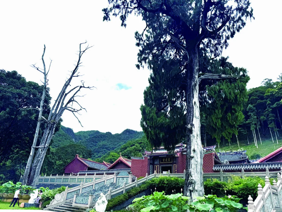 【香火傳承】慚愧祖師與陰那山靈光寺