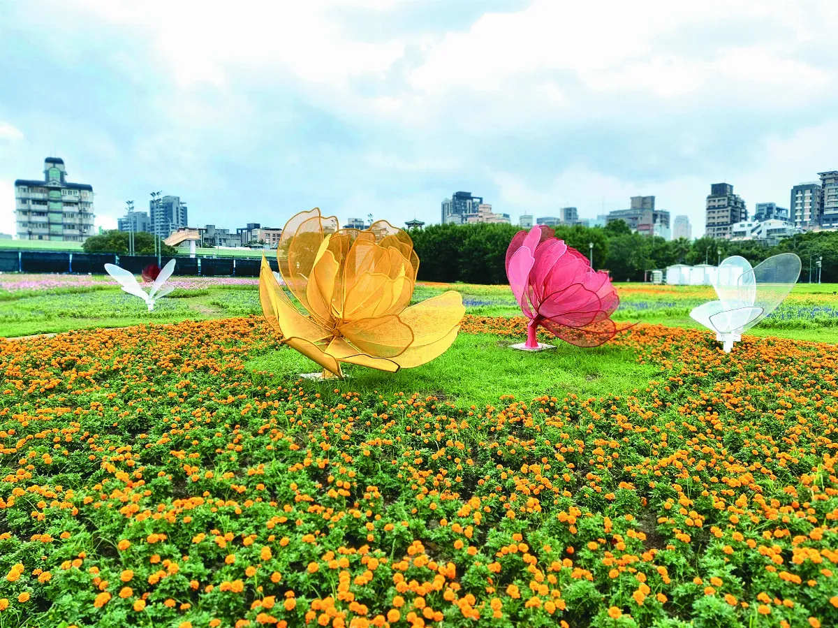 【生活快門】花開蝶來