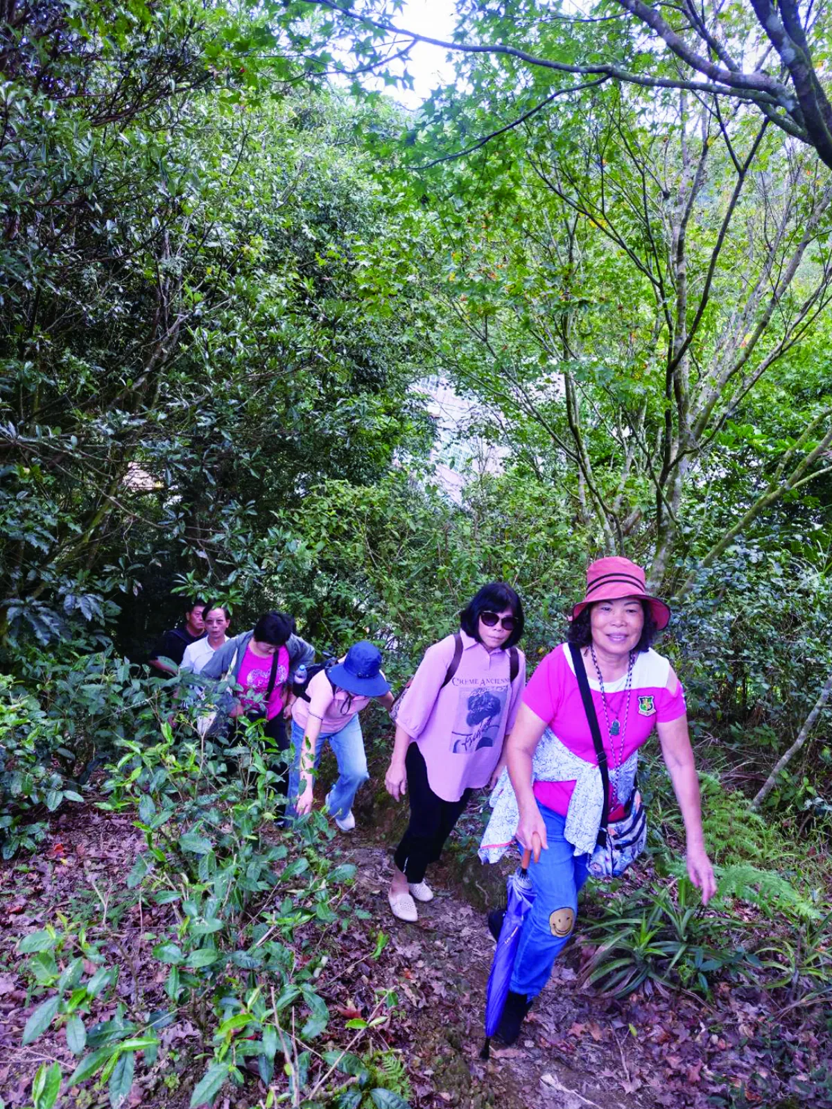 生猛老嫗 結伴勇闖鱷魚島