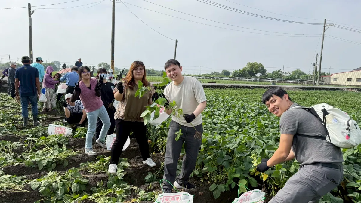 綠色環保新商機 大學生芹豆初開的感動