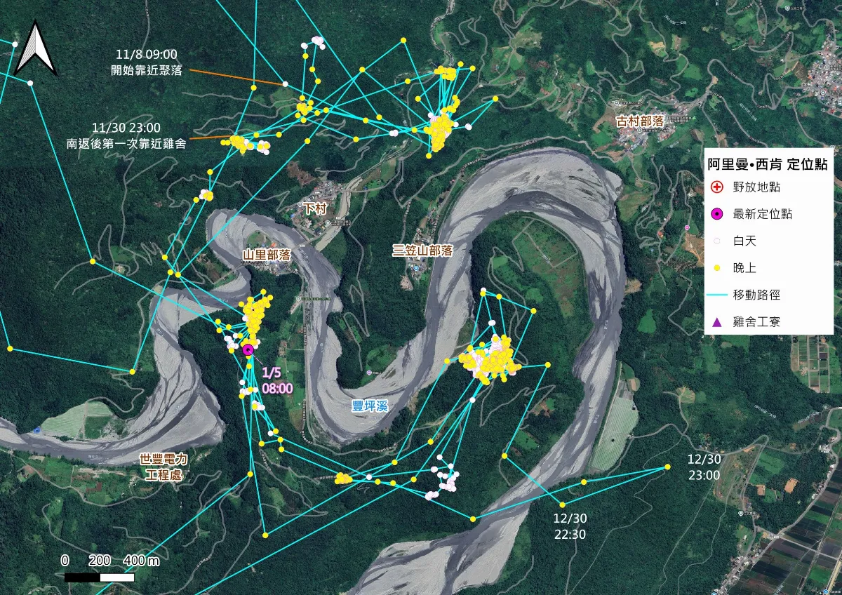 兩度野放仍回部落　黑熊阿里曼送北市動物園