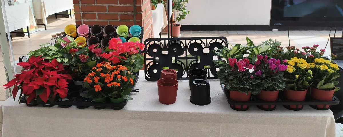 底部灌溉結合智慧系統  助盆花產業穩定產量