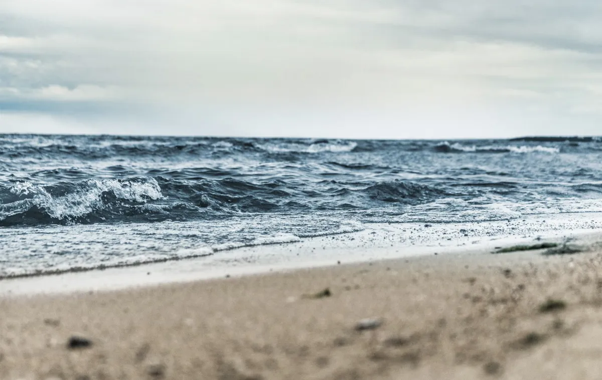 德國揭北海水溫創新高 波羅的海也近紀錄高溫