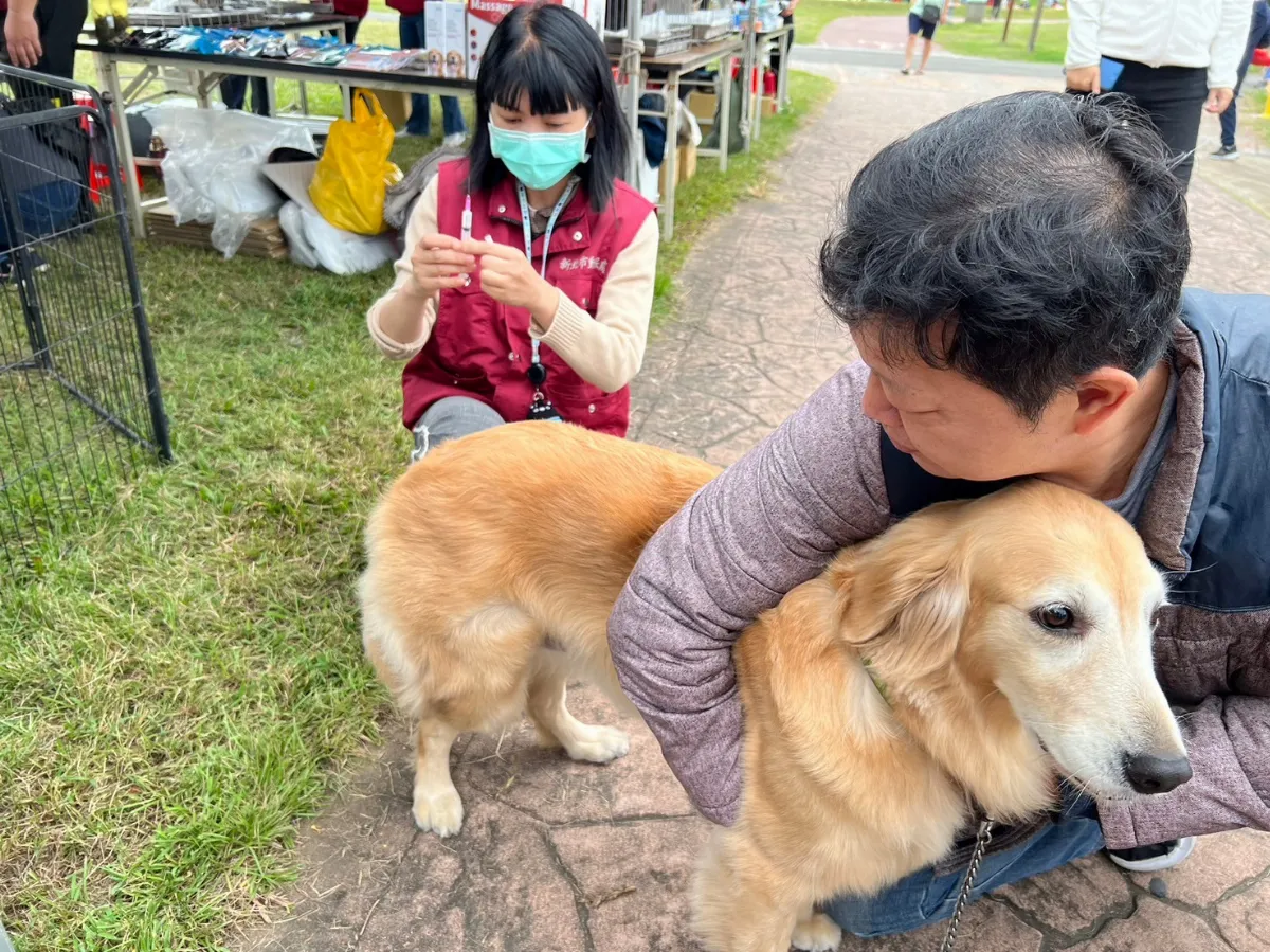 政院推動保新制 棄養寵物最高罰百萬、虐待致死加重刑期