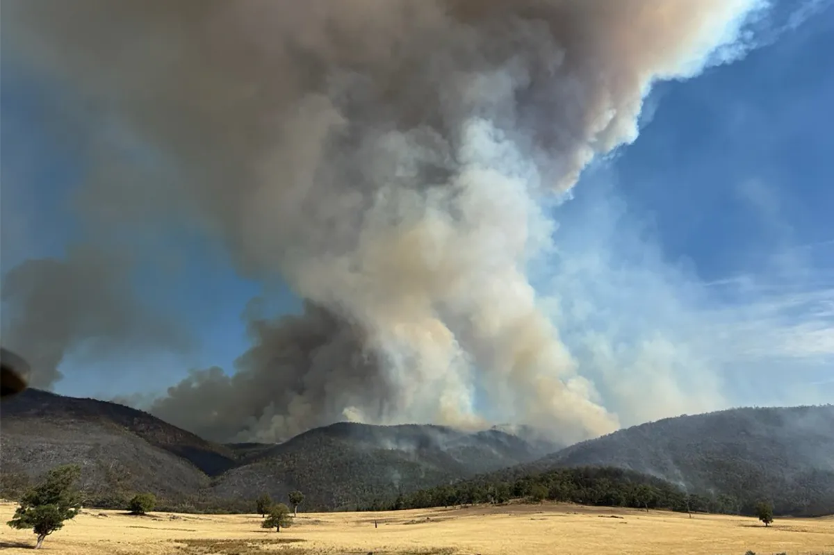 澳洲叢林大火肆虐 維多利亞州進入災難狀態