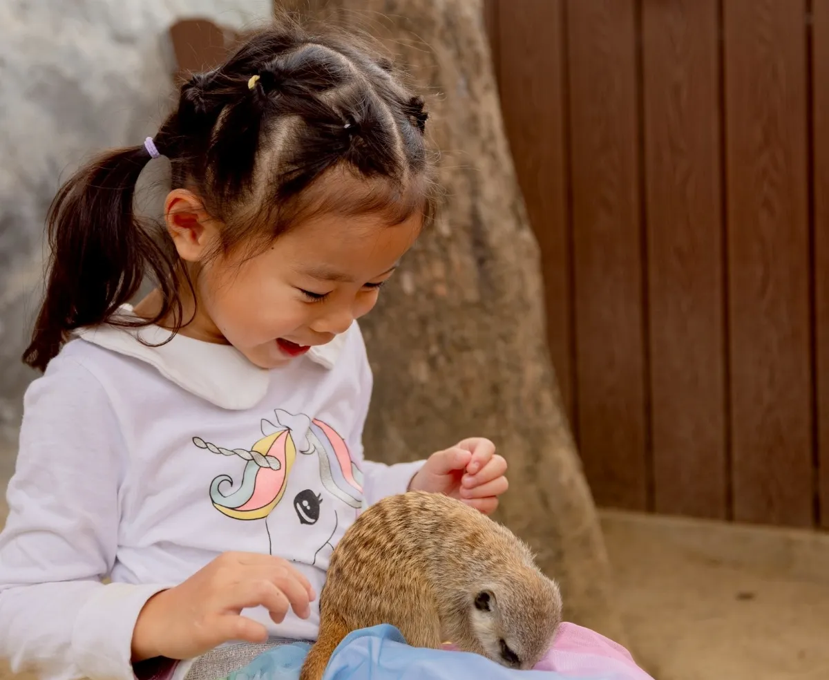 友善新地標 「野森動物學校」允動物與人接觸並展演