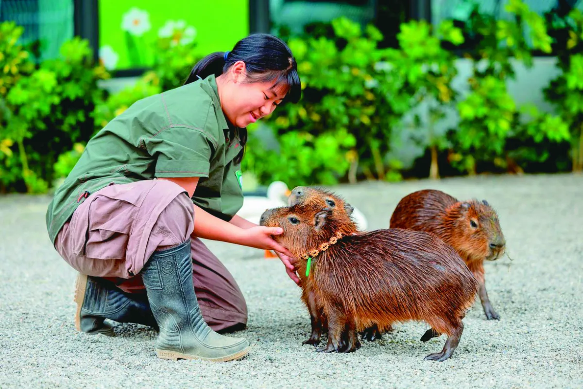 野森動物學校 17日試營運