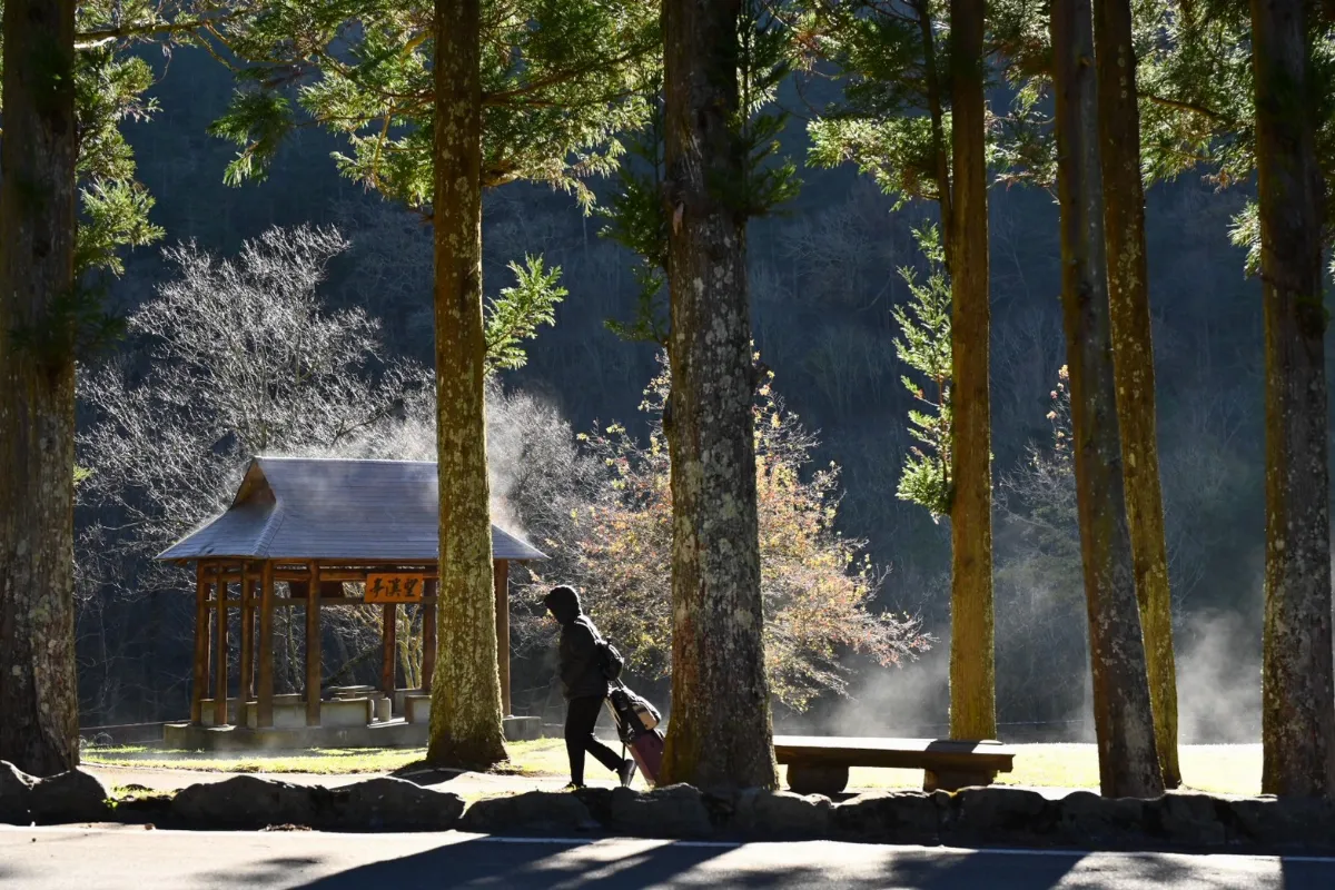 武陵農場低溫現美景 白霧飄升宛如仙境