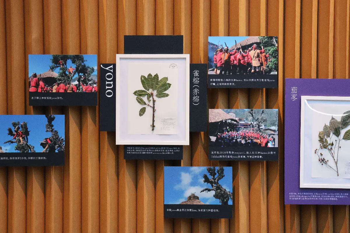 山林皆有靈《鄒．自然博物》呈現原住民自然智慧