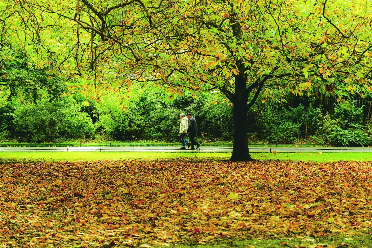 【紅塵禪煙】寬心之道