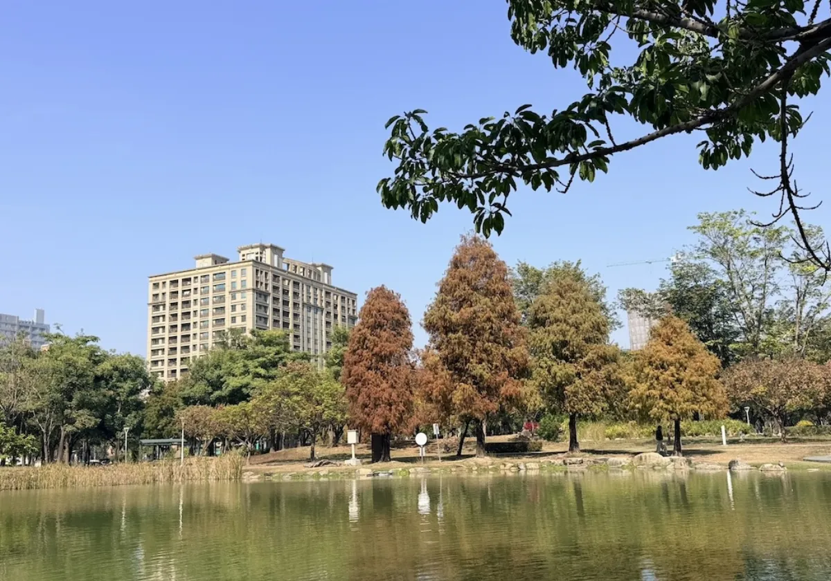 落羽松轉紅！ 凹子底水岸倒影宛如歐風油畫夢境