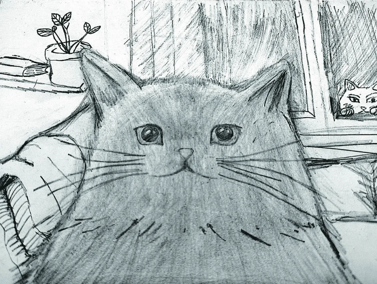 【快樂塗鴉簿】我家的咪咪