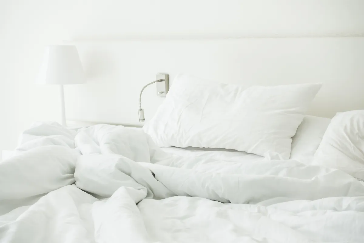 挑對棉被提升睡眠品質 常見冬被大PK