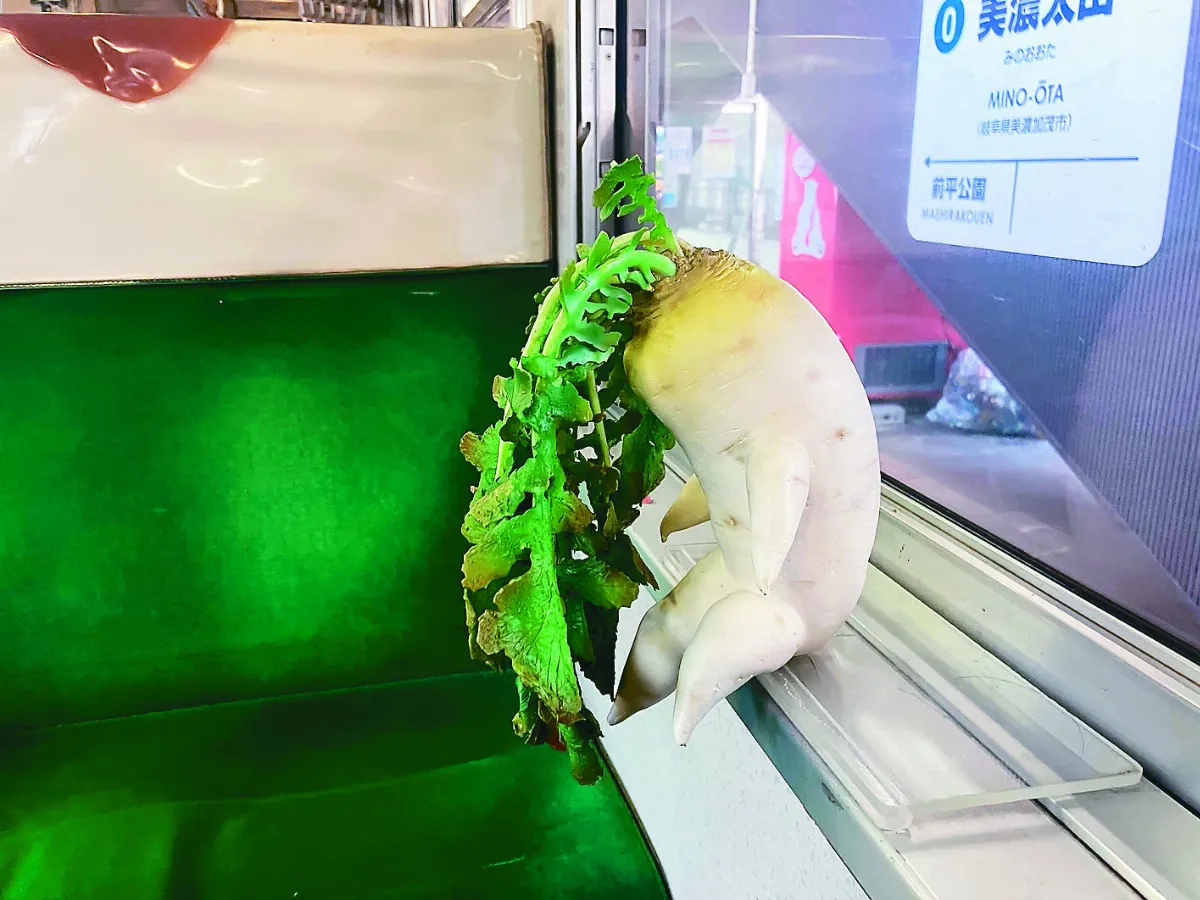 鐵道迷搭車  沉思白蘿蔔當旅伴