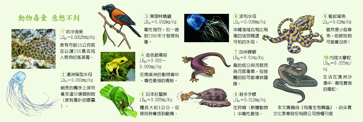 猛毒動物排行榜