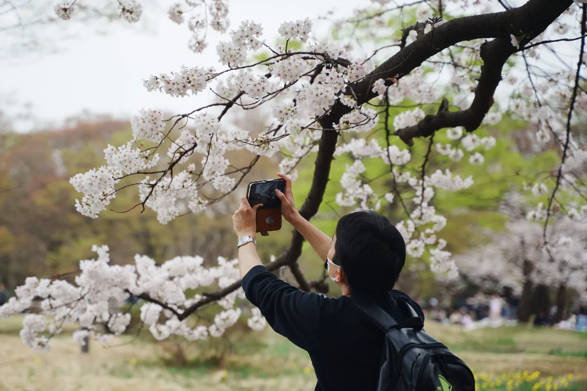 陸春節長假出境熱門地 日本跌出前十、這些免簽國成黑馬