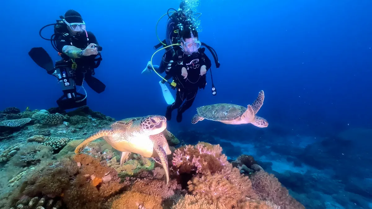 《極樂世界之好好出門》2/7首播！ 紀實14位身障者「出門」挑戰