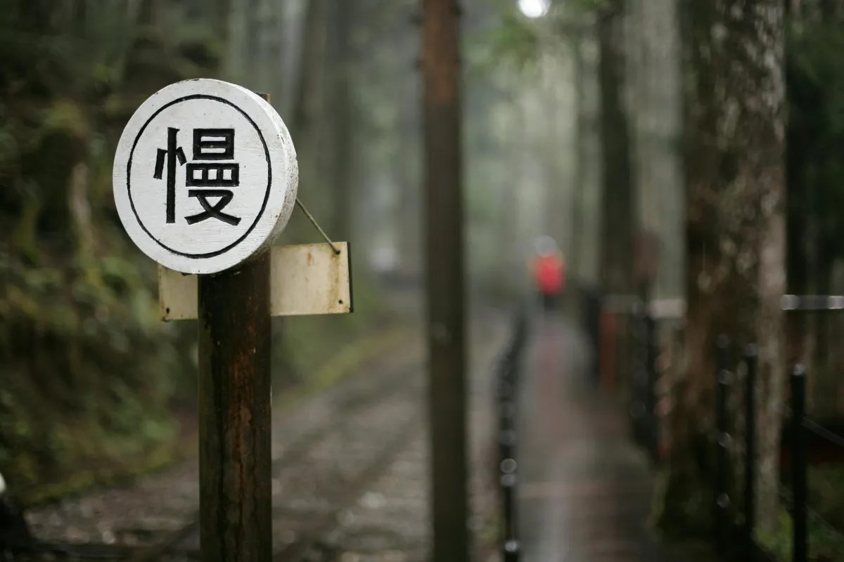 老化非不可逆 三面向調整助回春