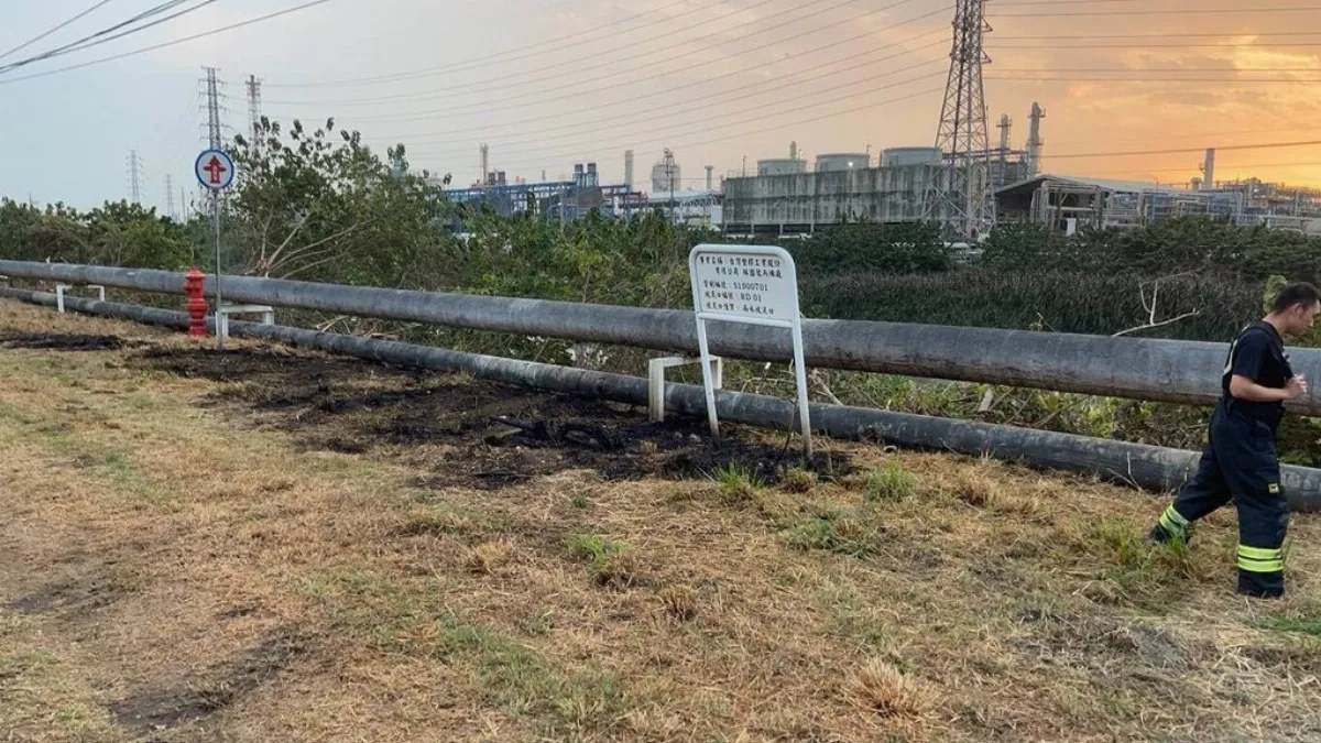 高雄男捕綠鬣蜥誤觸釀停電 台電保留法律追訴權