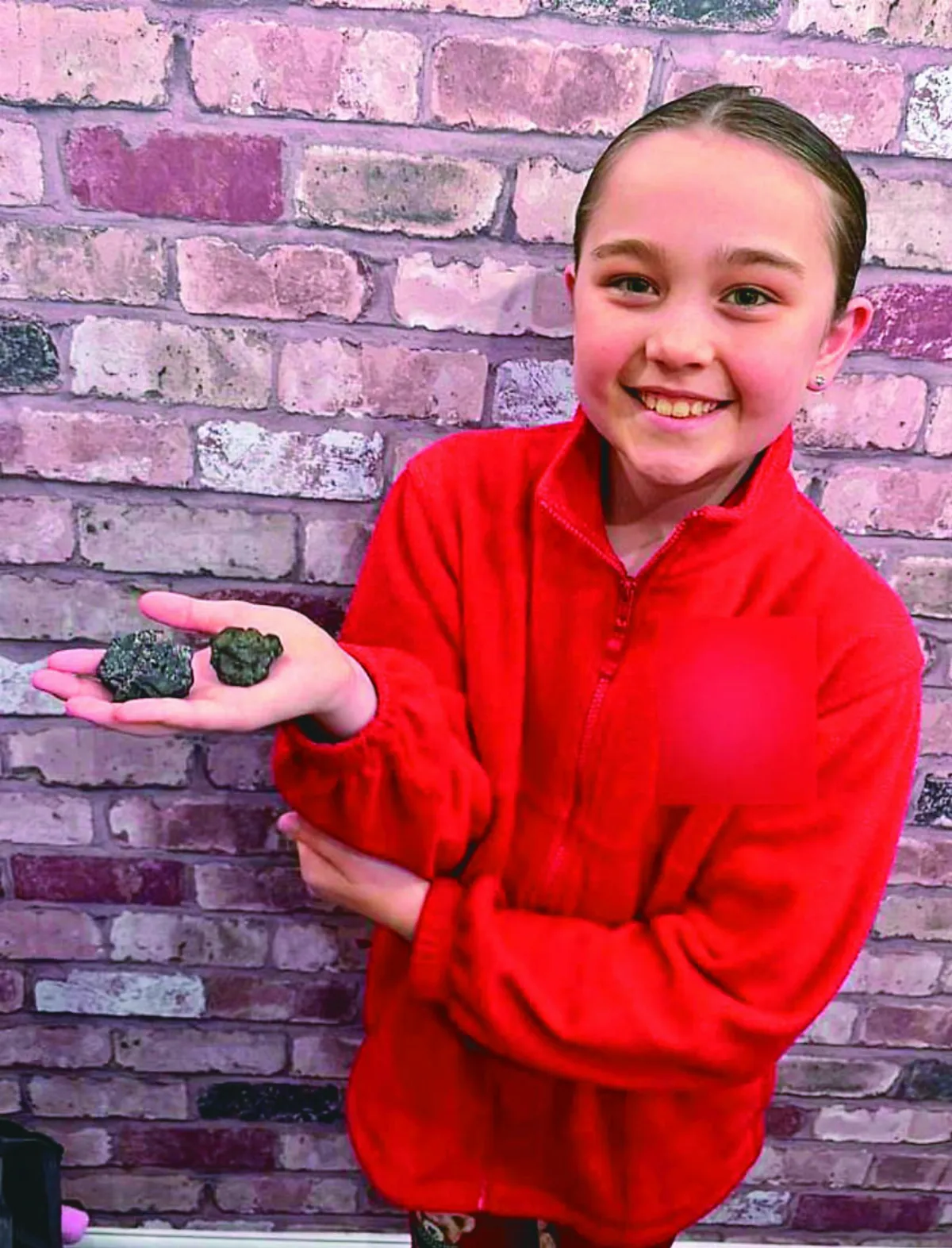 9歲女孩 海邊撿到45億年前隕石