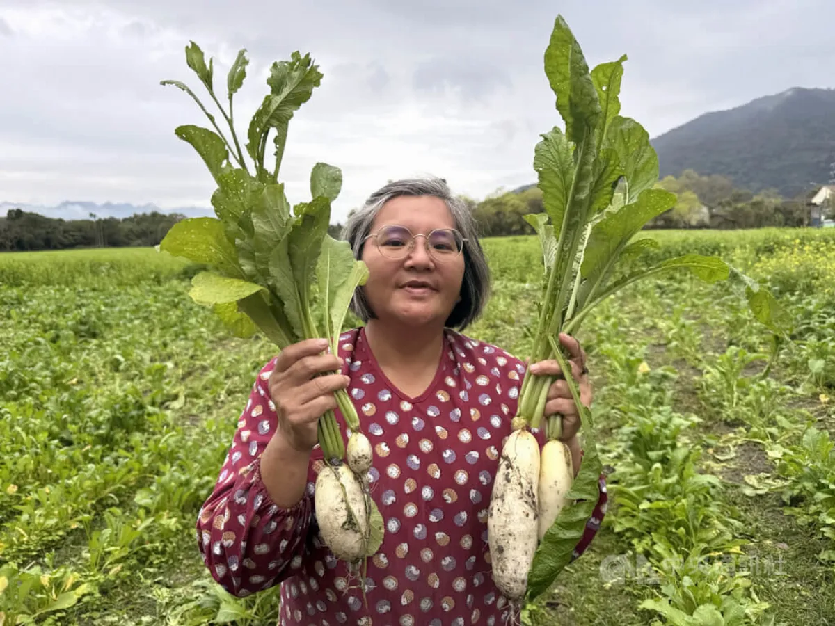 花蓮光復受災農地復耕試驗 輕災區成果佳