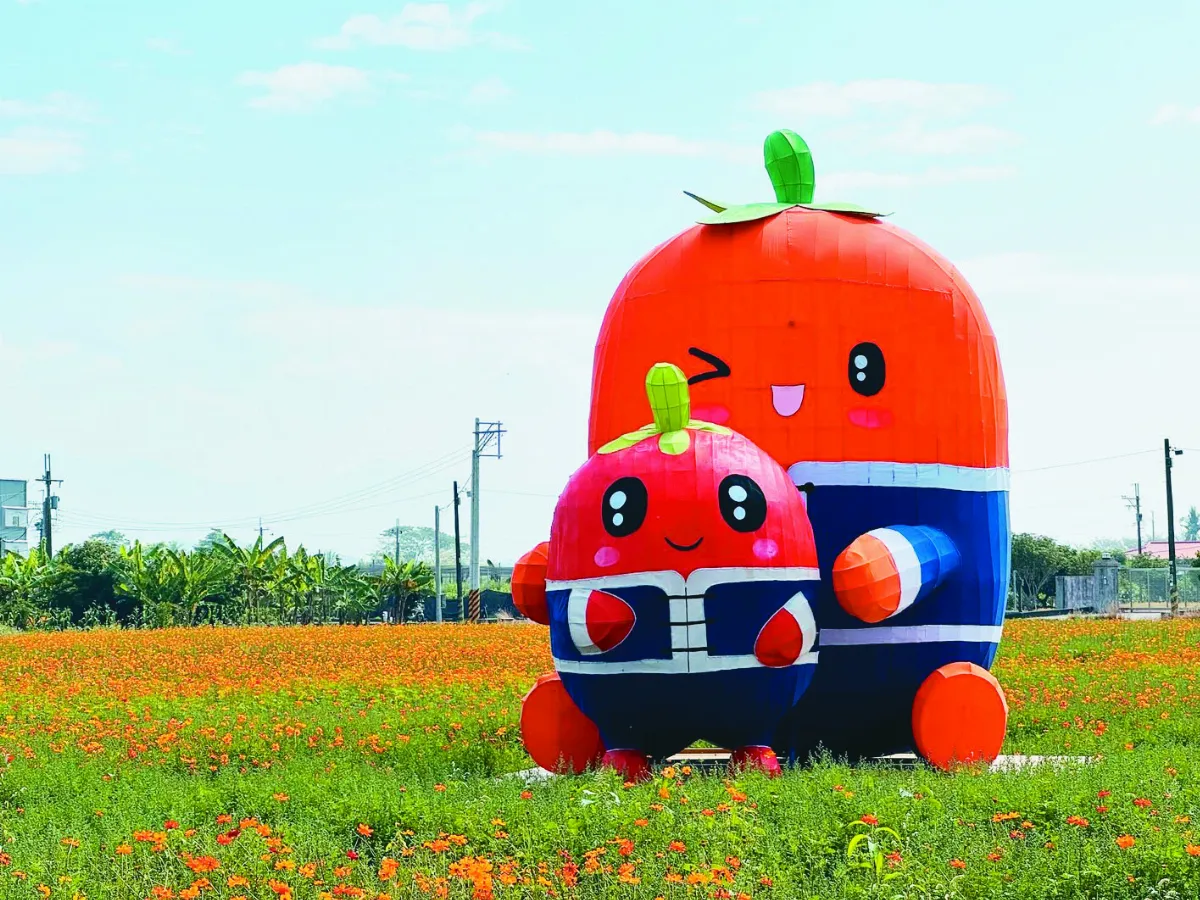 美濃花海迎春 番茄公仔吸睛