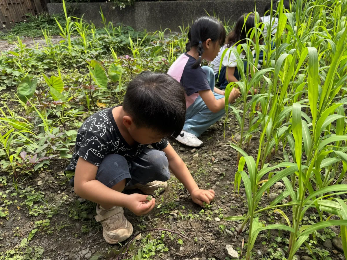 國教署支持服務輔導補助476間幼兒園 推動在地多元課程