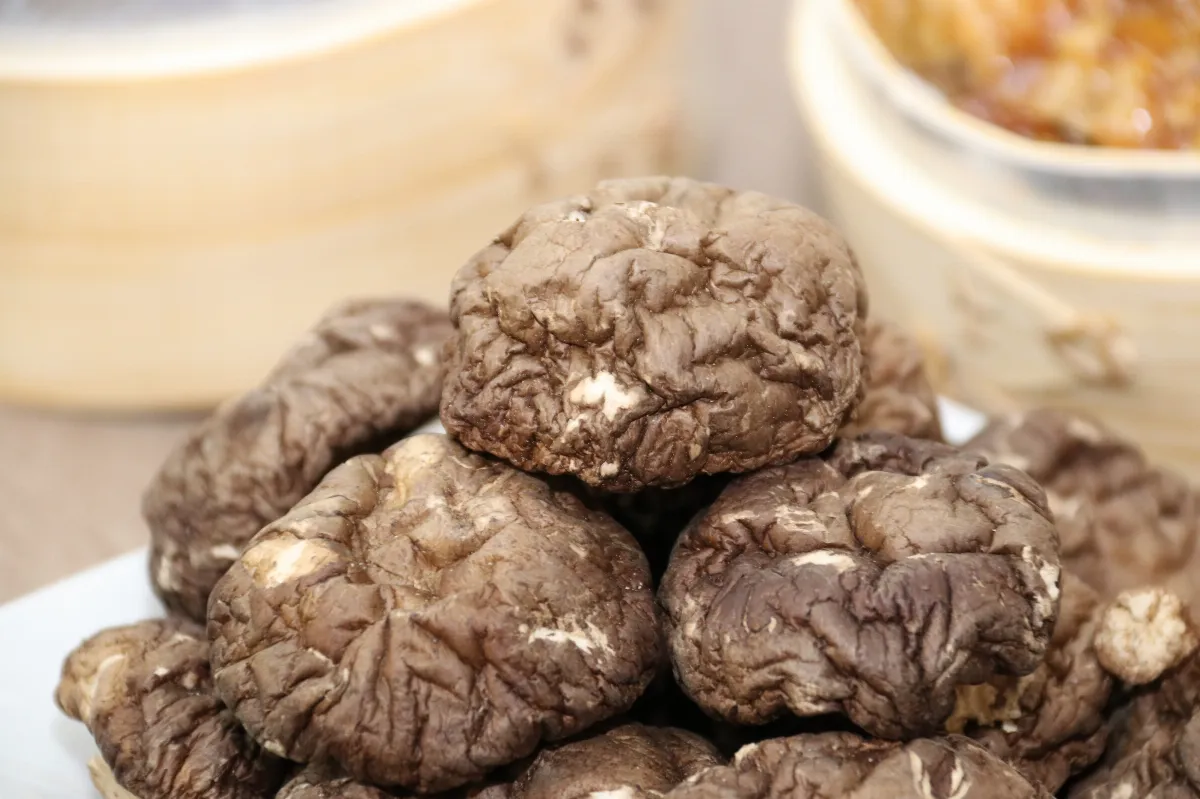 國產香菇香氣濃　農糧署教辨識技巧