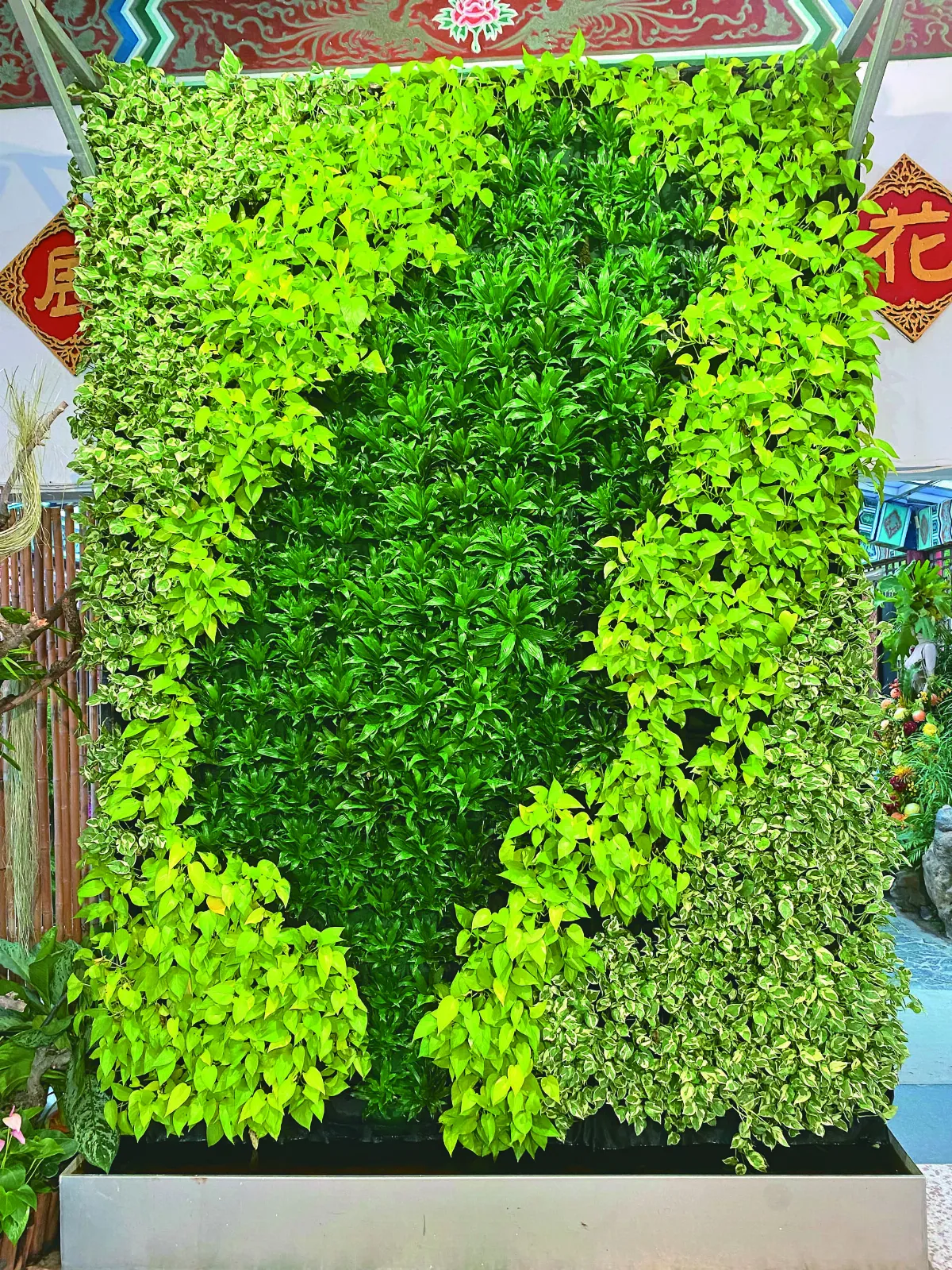 【生活快門】綠意盎然的台灣