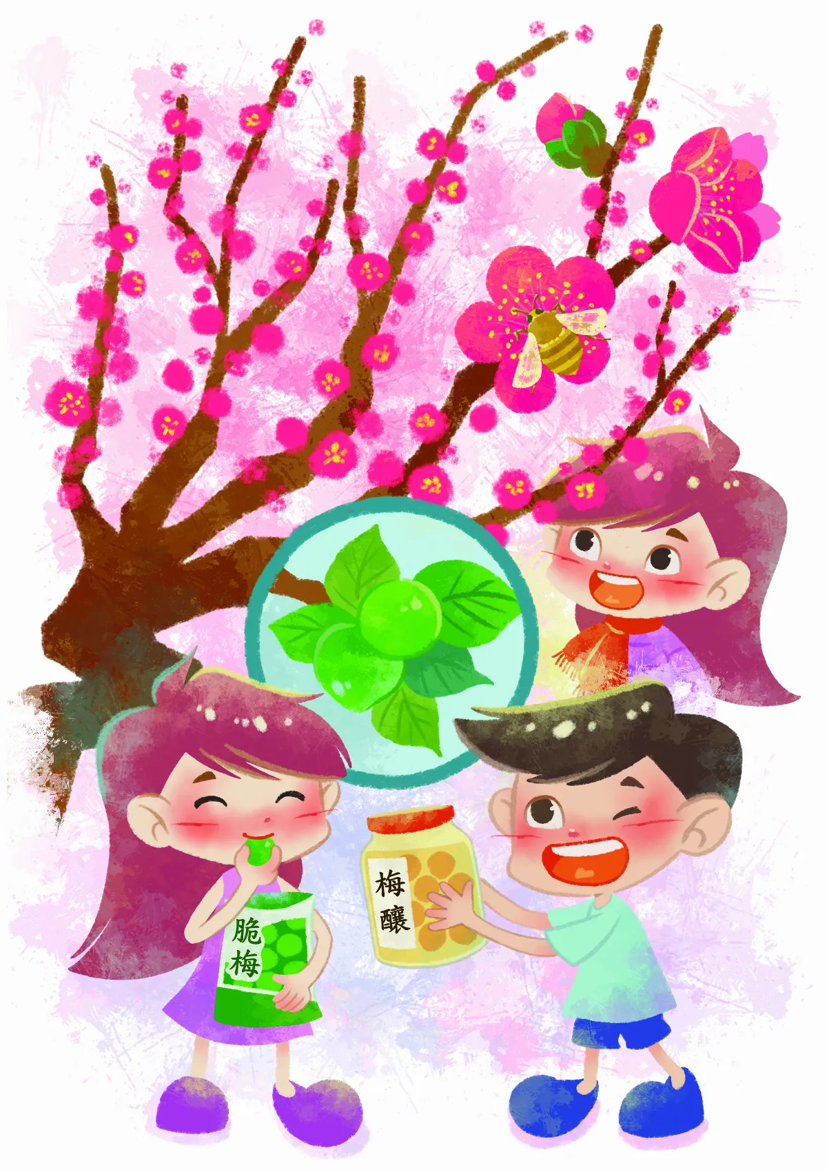 寒冬話梅 從花到果