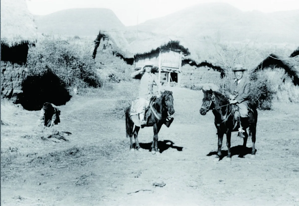 【走進大西南】中國西南精壯的小型馬（下）