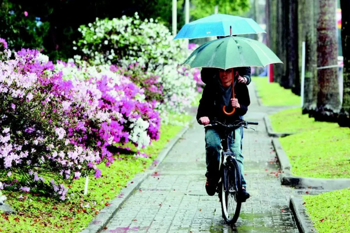 走春氣溫降…突發抖、打冷顫 醫：須注意 恐是「熱量流失警訊」
