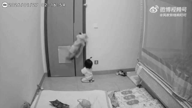 貓咪和幼童合作  一個開鎖一個推門