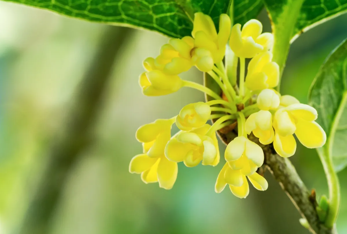 社論--挽救信任赤字