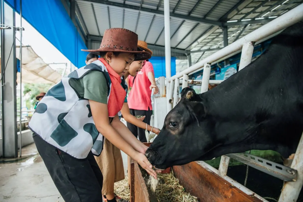 農村玩出新年味 孩童焢窯採果、扮牧童