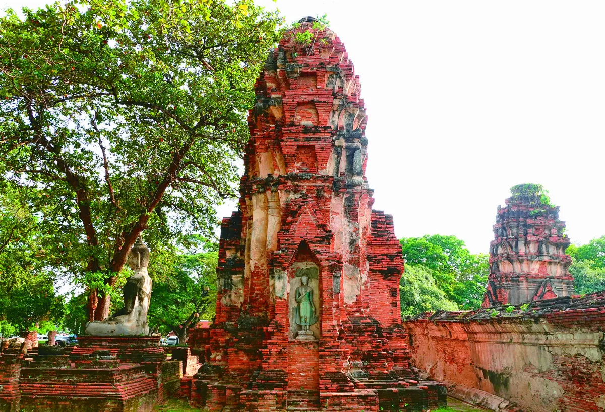 【寰宇采風】大城府瑪哈泰寺