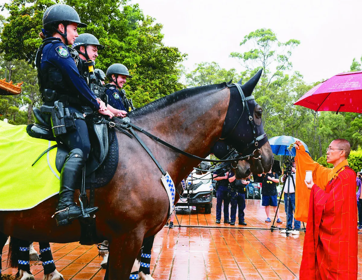 中天新春文化日 警馬灑淨慶馬年