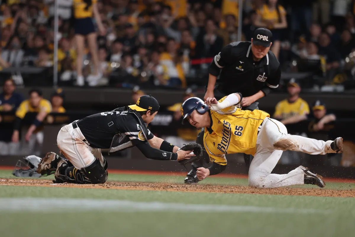 中職／高宇杰交流戰表現亮眼 平野笑：他要打日職