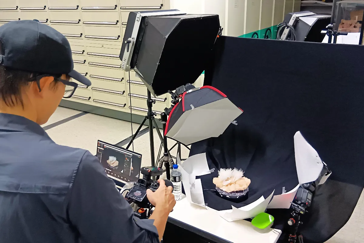重現科普標本之美  3DGS技術打造零距離數位體驗  