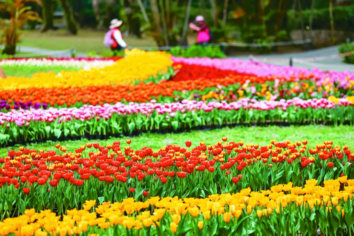 士林官邸 浪漫滿園