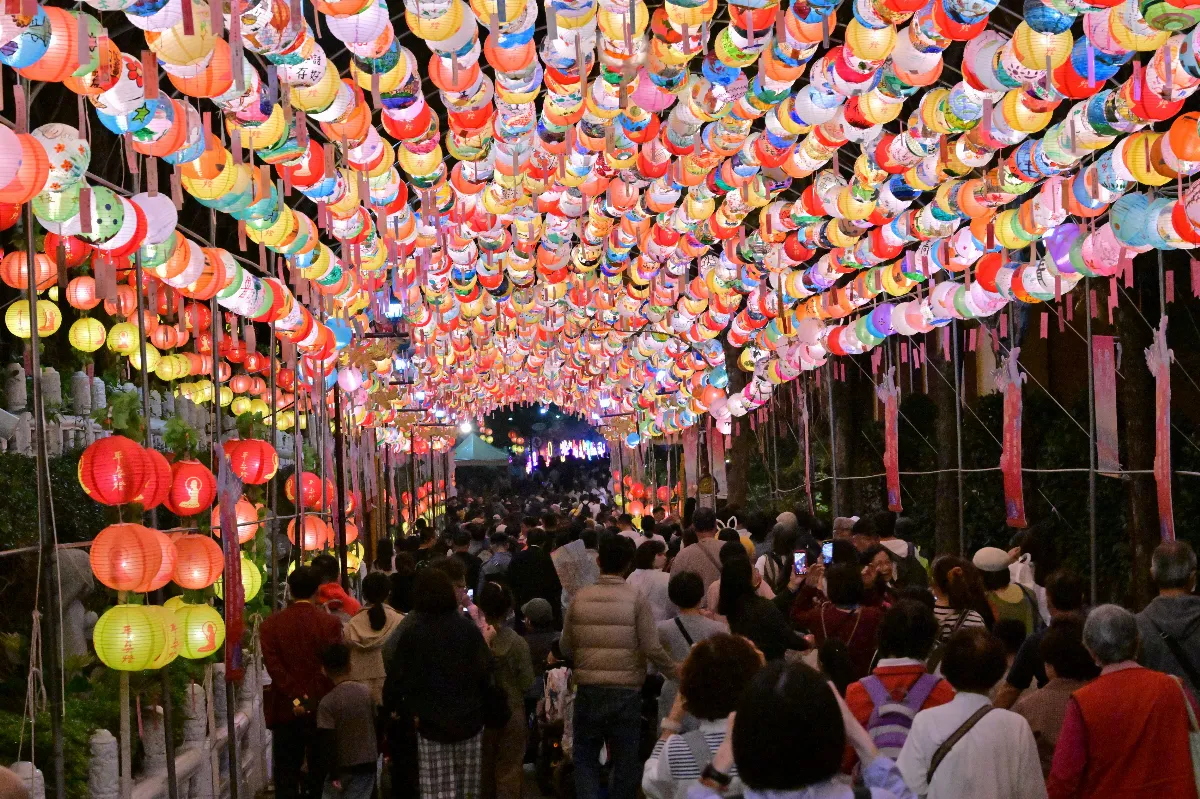 228假期 佛光山賞燈、美濃賞花大眾運輸好行