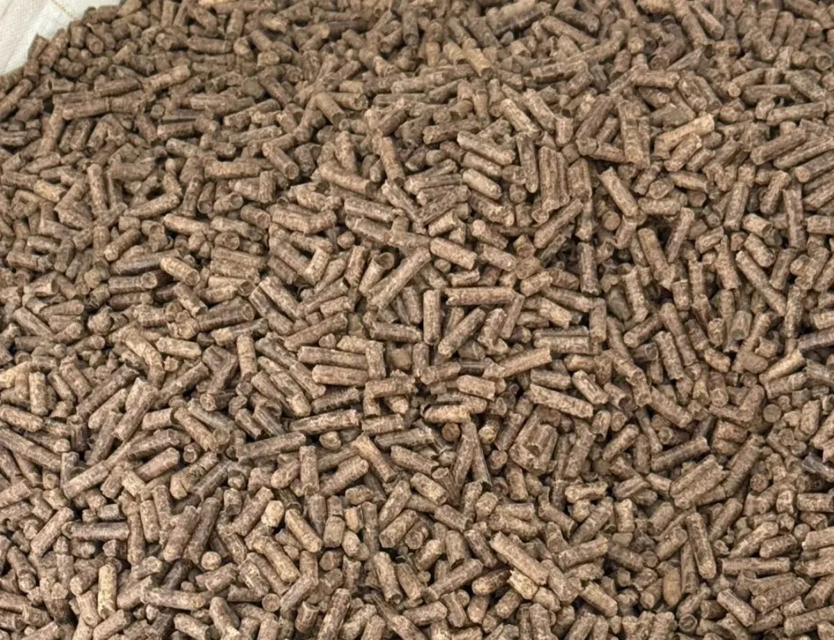 助攻淨零 六龜林業餘料做生質顆粒取代燃煤