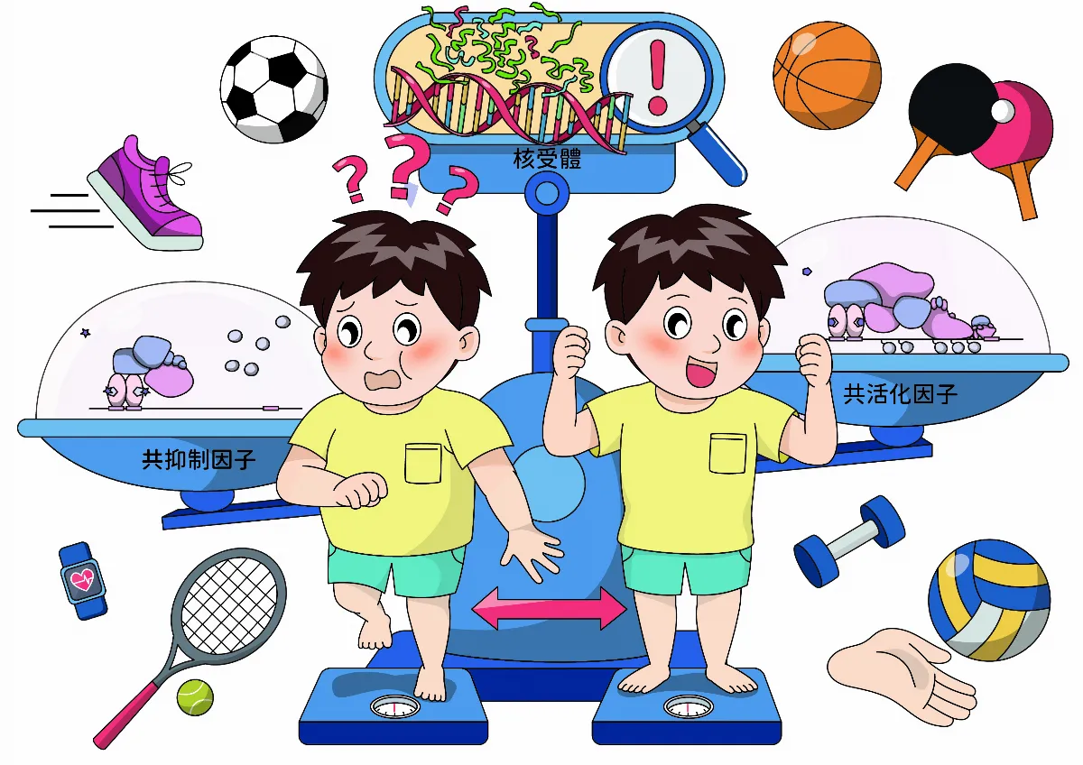 持續運動才有益身體