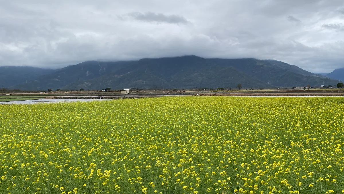 全台空氣最清新城市 台東穩居首位