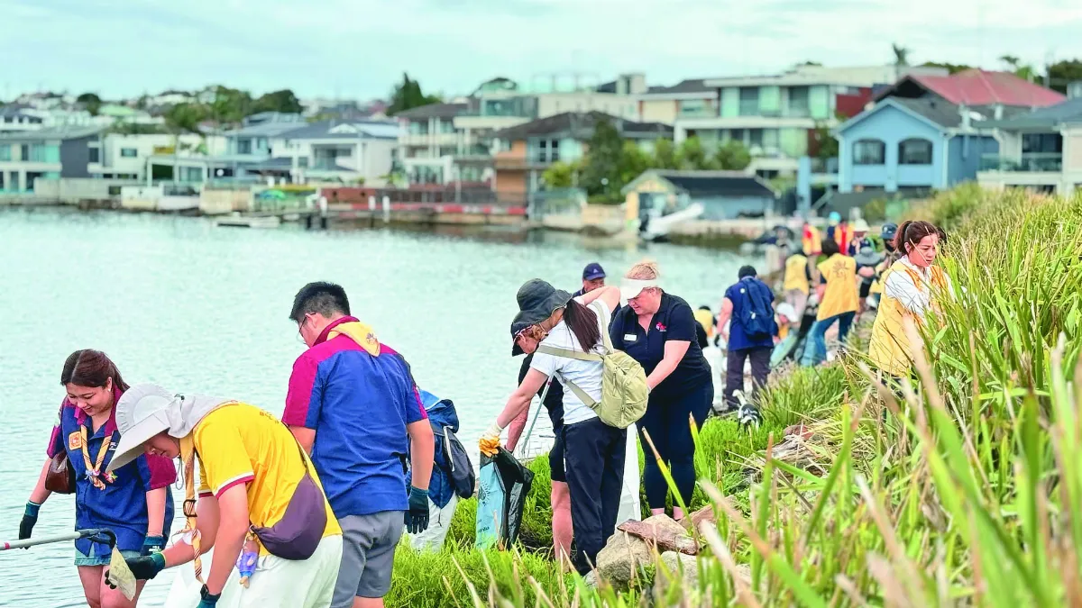雪梨佛光人 淨灘守護生態