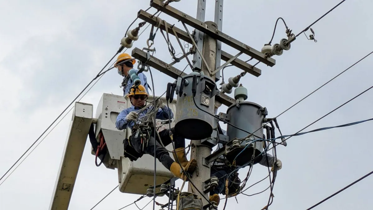 台電啟動驚蟄穩定供電專案 動員逾4千人防鳥獸停電