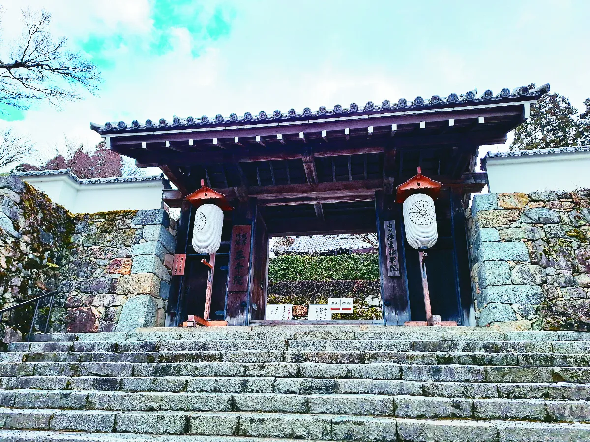 【東瀛遍路】京都大原三千院