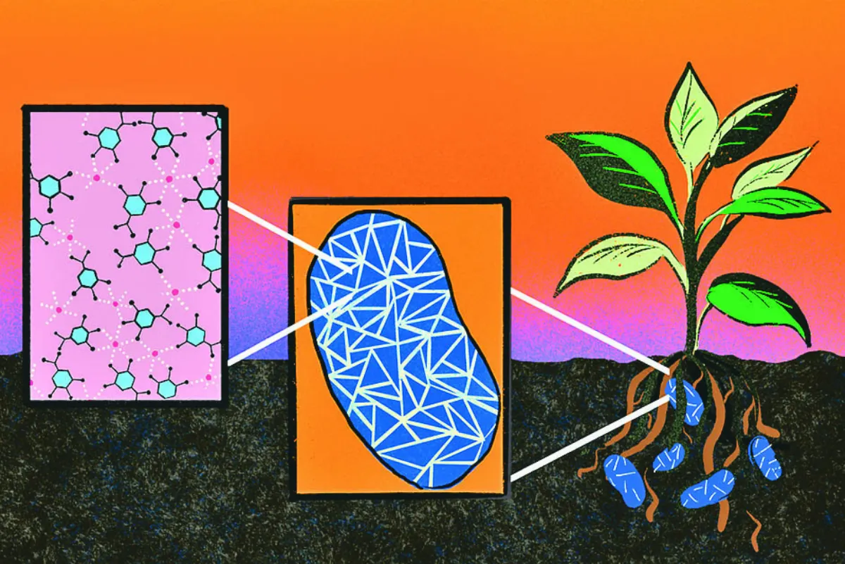 新型肥料 助植物對抗極端氣候