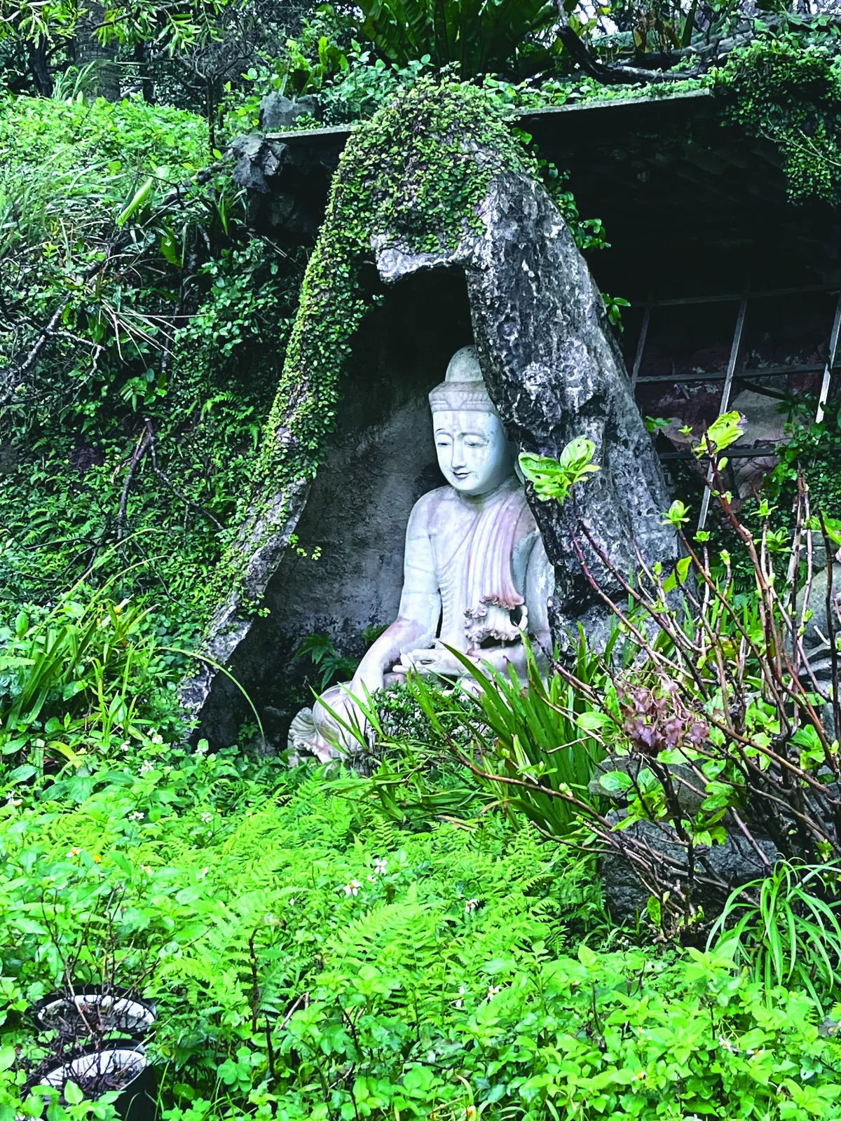 【修行在人間】 佛心的慈視10